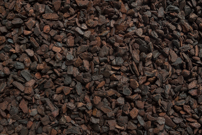 Orchiata Orchid Bark At the Root of Healthier Plants Besgrow